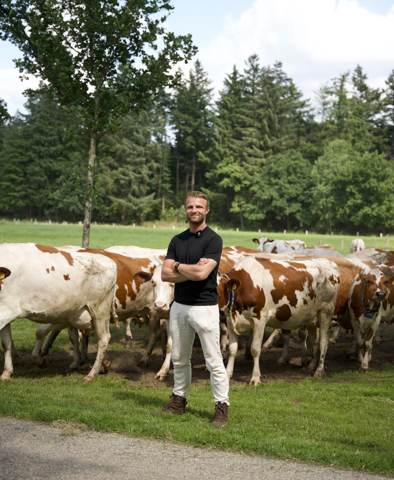 Jeroen bij de runderen